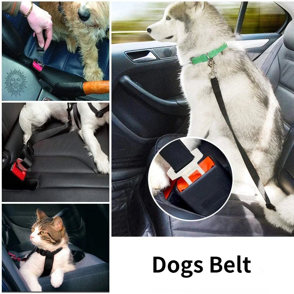 Pet Seat Belt 🚗🐾