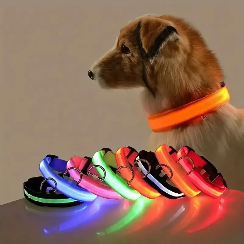 LED Glow Dog Collar 🔦🐕🌃