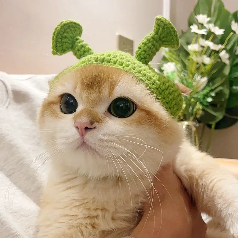 Cute Knitted Cat Hat 🎩🐱