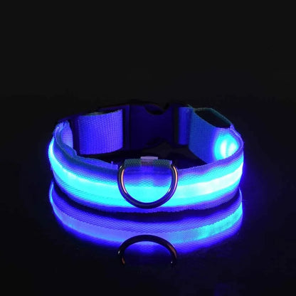 LED Glow Dog Collar 🔦🐕🌃