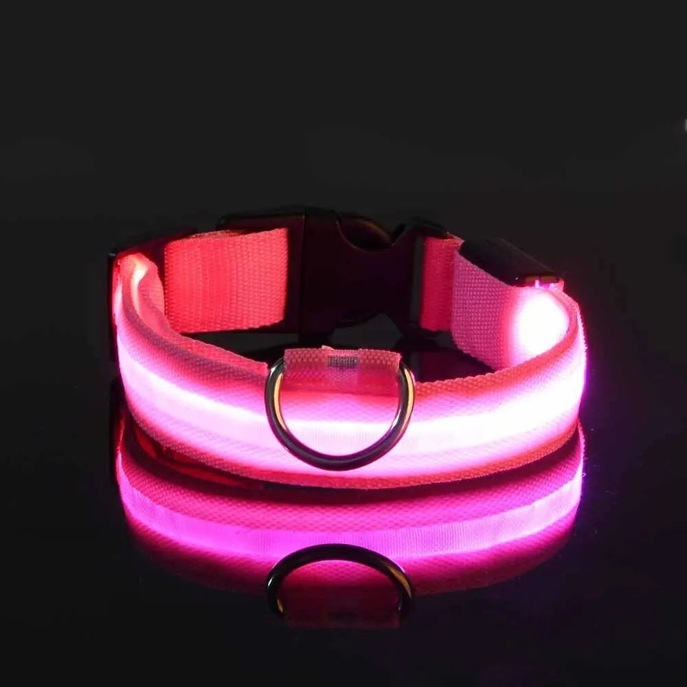 LED Glow Dog Collar 🔦🐕🌃