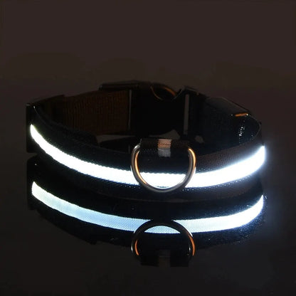 LED Glow Dog Collar 🔦🐕🌃