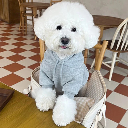 Cozy Clothes 🧥 🐶✨