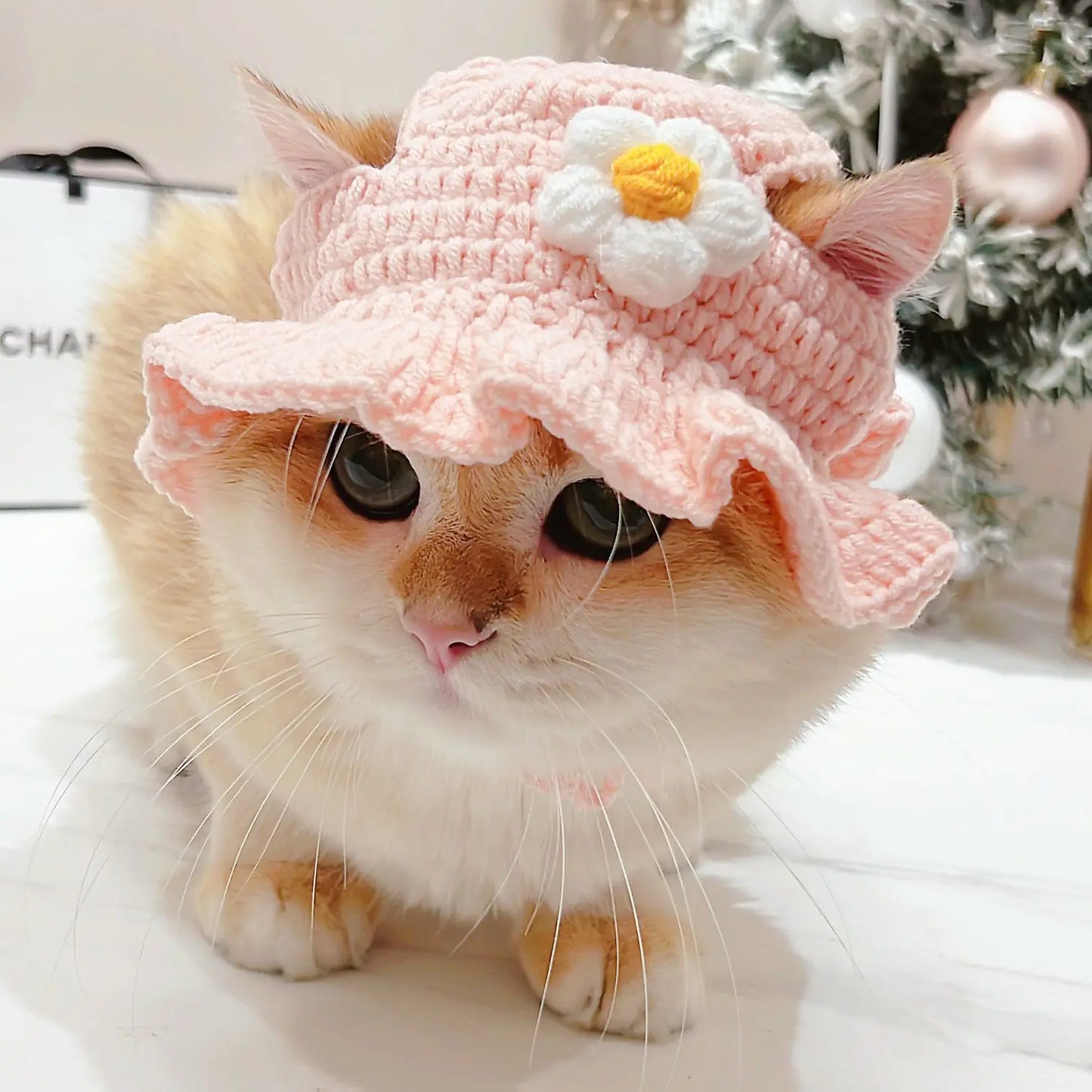 Cute Knitted Cat Hat 🎩🐱