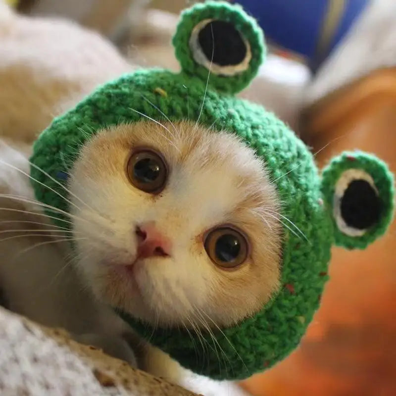 Cute Knitted Cat Hat 🎩🐱