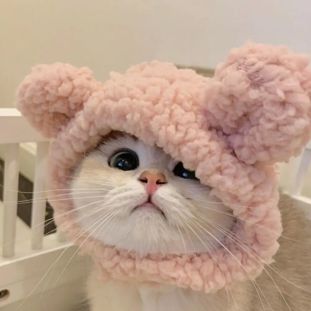 Cute Cat Hat 🎀