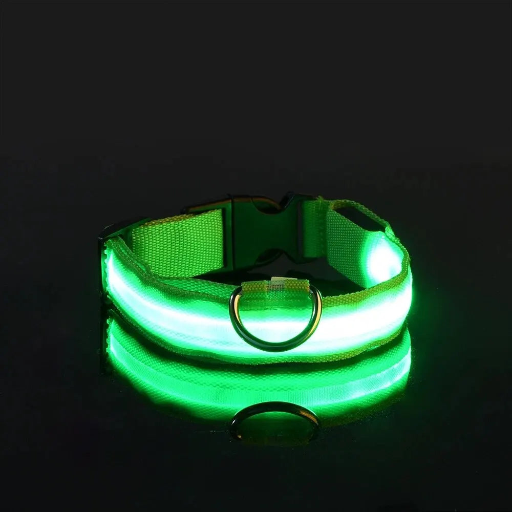 LED Glow Dog Collar 🔦🐕🌃