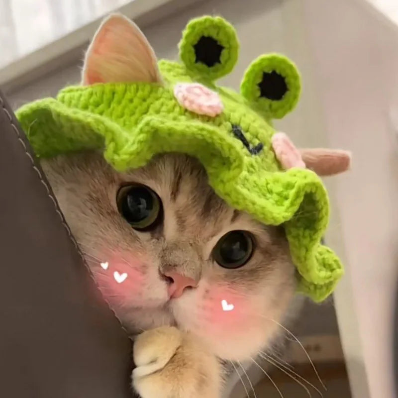 Cute Knitted Cat Hat 🎩🐱