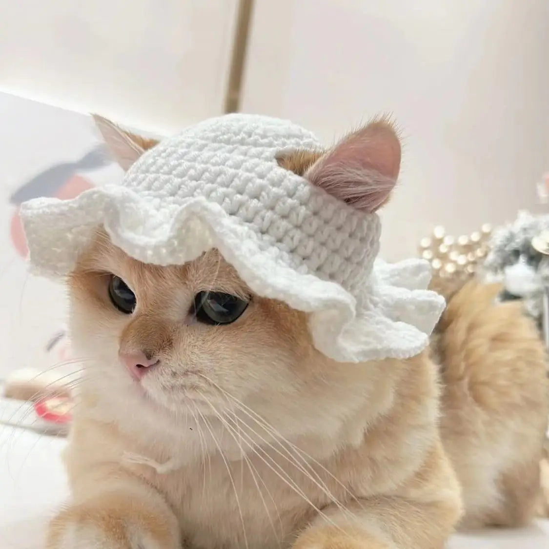 Cute Knitted Cat Hat 🎩🐱