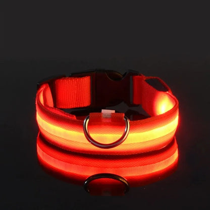 LED Glow Dog Collar 🔦🐕🌃