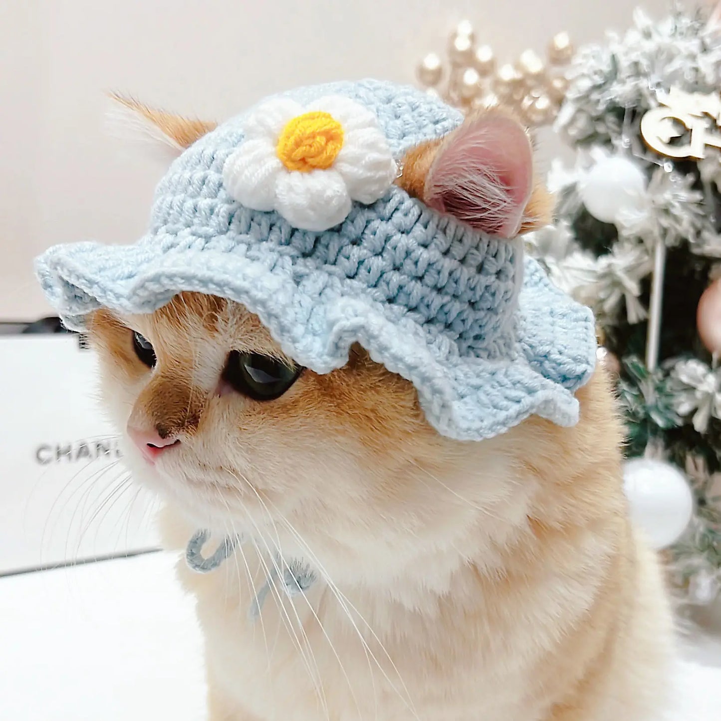 Cute Knitted Cat Hat 🎩🐱