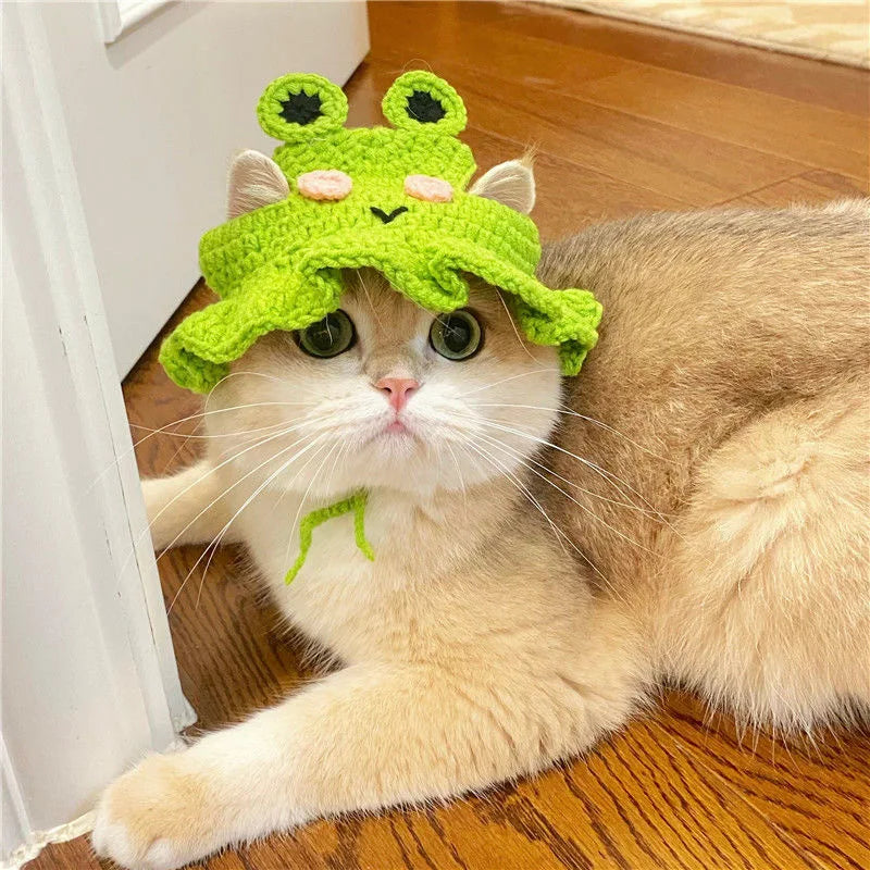 Cute Knitted Cat Hat 🎩🐱